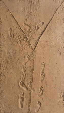Sigalit Landau, 'Sand Flag', 2011